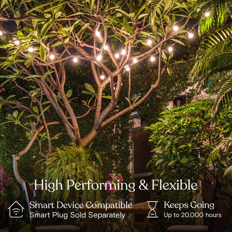 Brightech Ambience Pro LED String Lights - 26 Ft Commercial Grade Patio Lights Outdoor Waterproof - 12 Globe Porch String Lights for Outside, Backyard - 1W Vintage Edison Bulbs, Shine Bright, White - Image 3